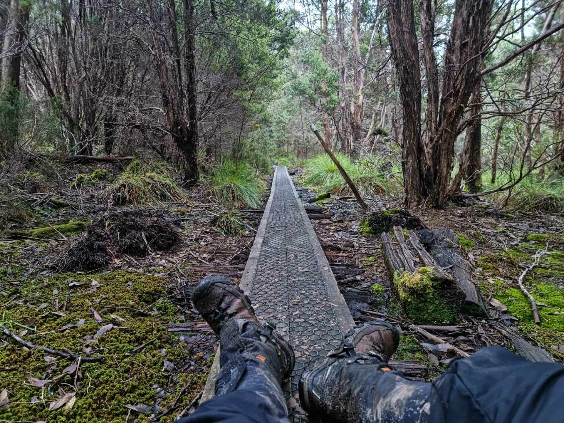 Long Days & Life Lessons On A 600km Trek Across Tasmania, jason reeve, thru-hike, tasmania, boardwalk, boots