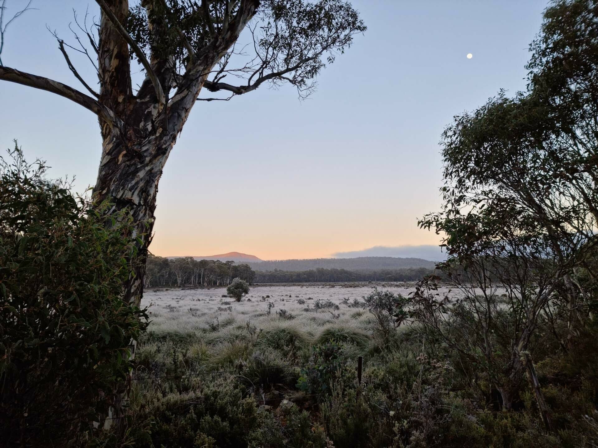 Long Days & Life Lessons On A 600km Trek Across Tasmania, jason reeve, thru-hike, tasmania