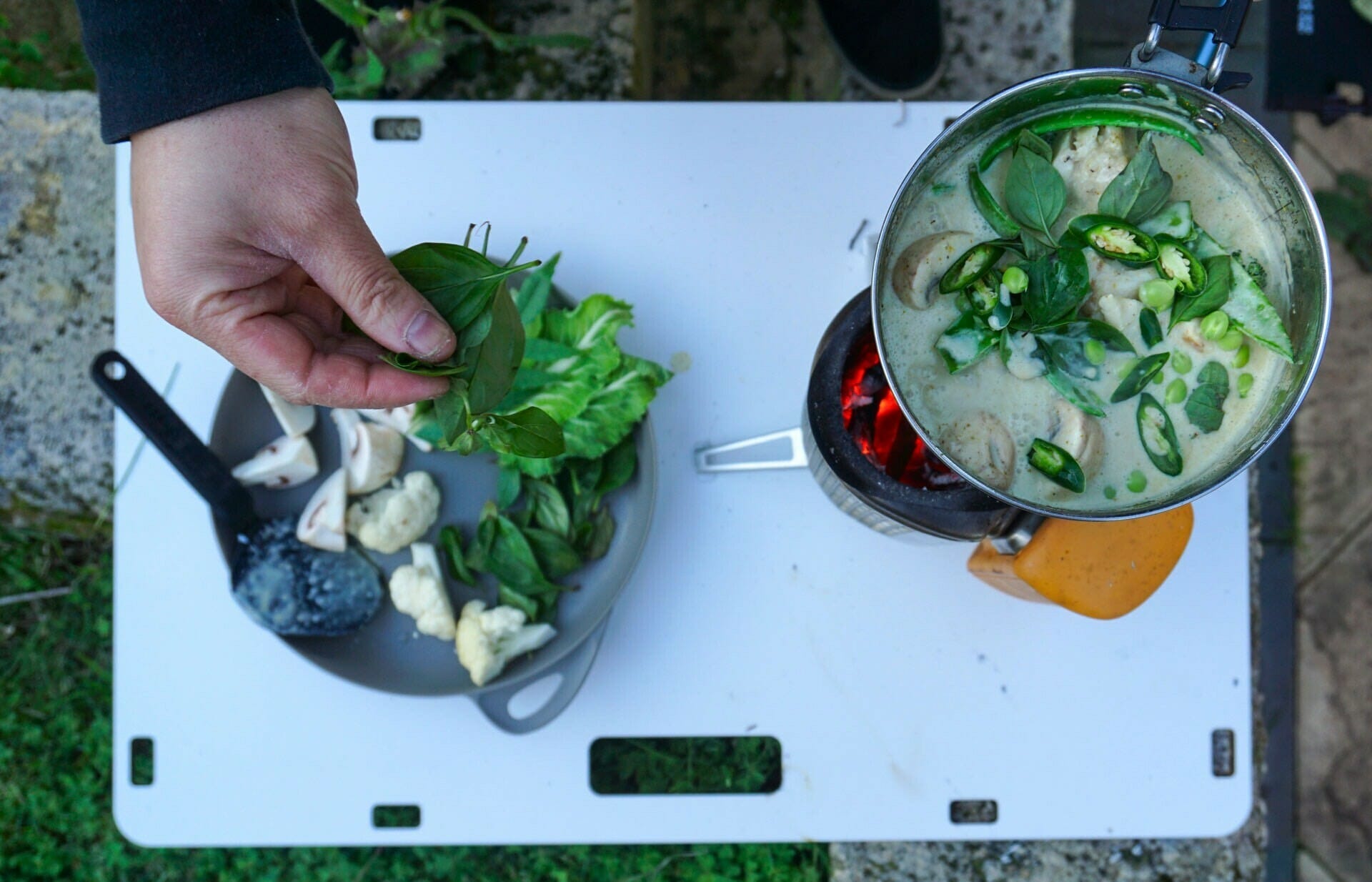 Camp Stove One-Pot Thai Green Fish Curry - Vanessa Hidayat, Curry, biolite CampStove, Camp Cooking