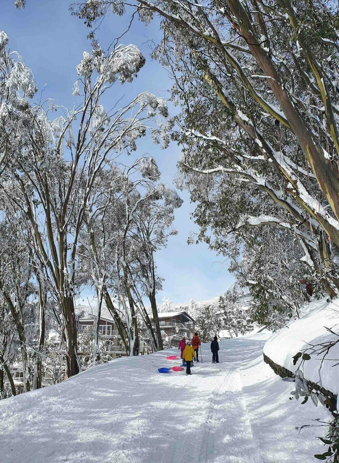 Skiing a resort with no lifts - Krista sturday, Snow, isolation, toboggan