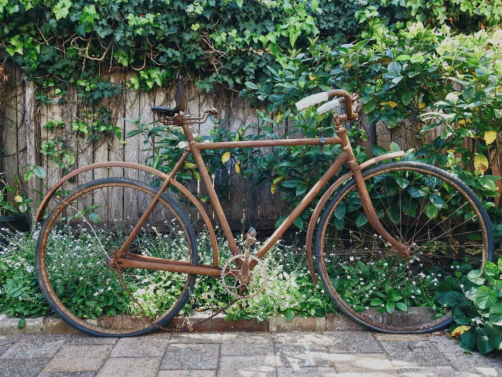 6 Sustainable Cycling Brands for All Aspiring MAMIL’s