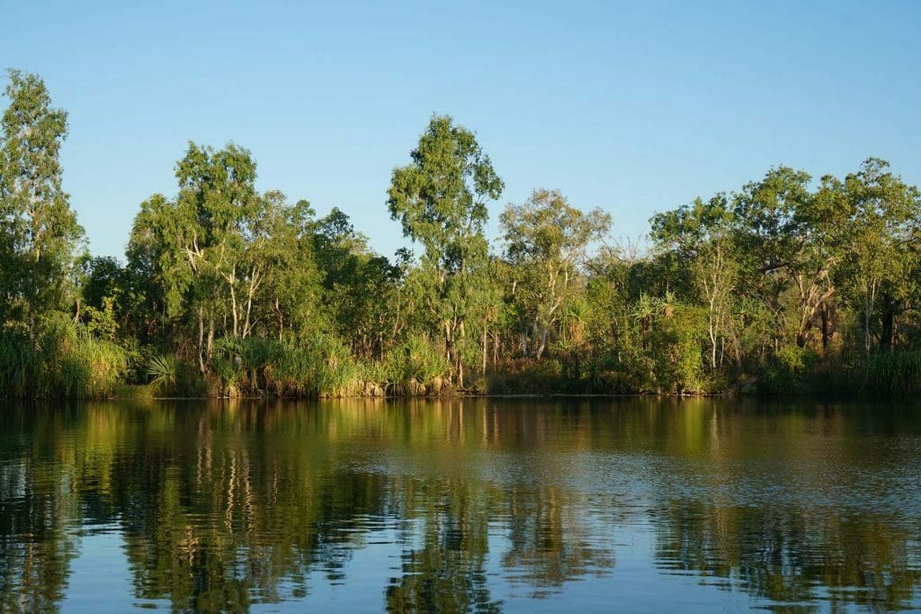 Why The Jatbula Trail is Perfect For Your First Multi-Day Hike, Amy Fairall, Sandy Pool, Nitmiluk National Park, swimming hole, lake, Nitmiluk National Park, trees