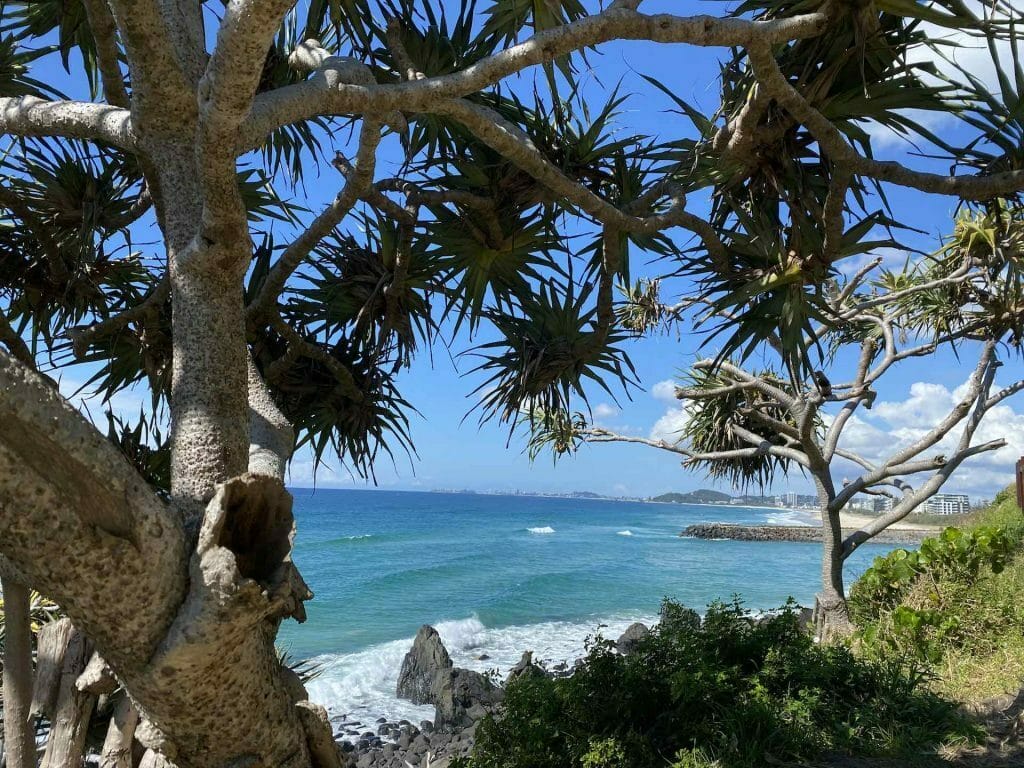 Beach Hiking From Burleigh Heads to Snapper Rocks on the Gold Coast - Sarah Tayler, Beach, Gold Coast, Burleigh Headland