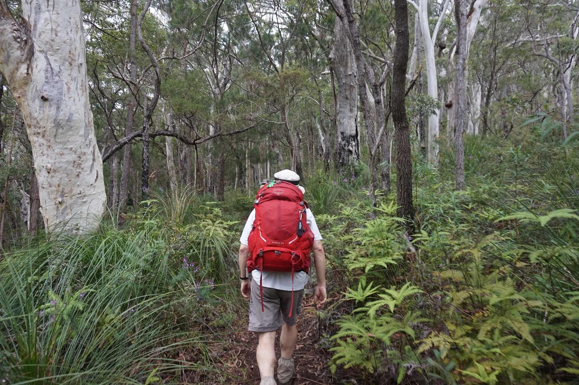 Ships Stern Circuit is Full-Day Rainforest Epic, Roz Glazebrook, man, hike, track, rainforest