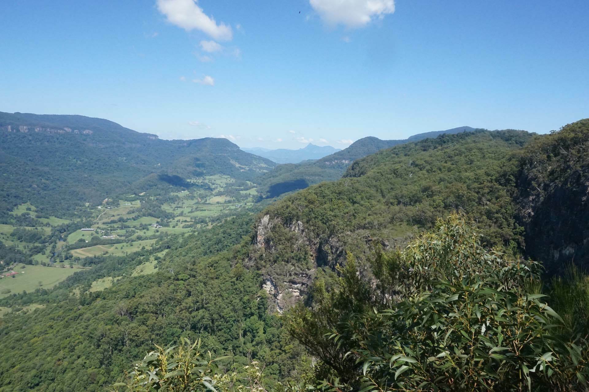 Ships Stern Circuit is Full-Day Rainforest Epic, Roz Glazebrook, valley, view, Wollumbin