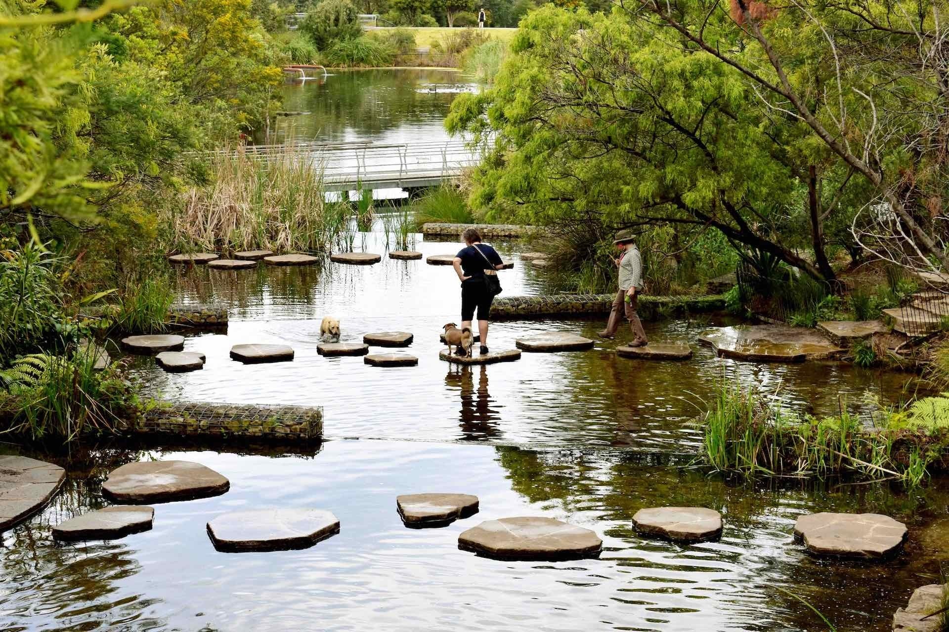 I’ve Fallen in Love With My Local Park - Em Barlow, Sydney Park