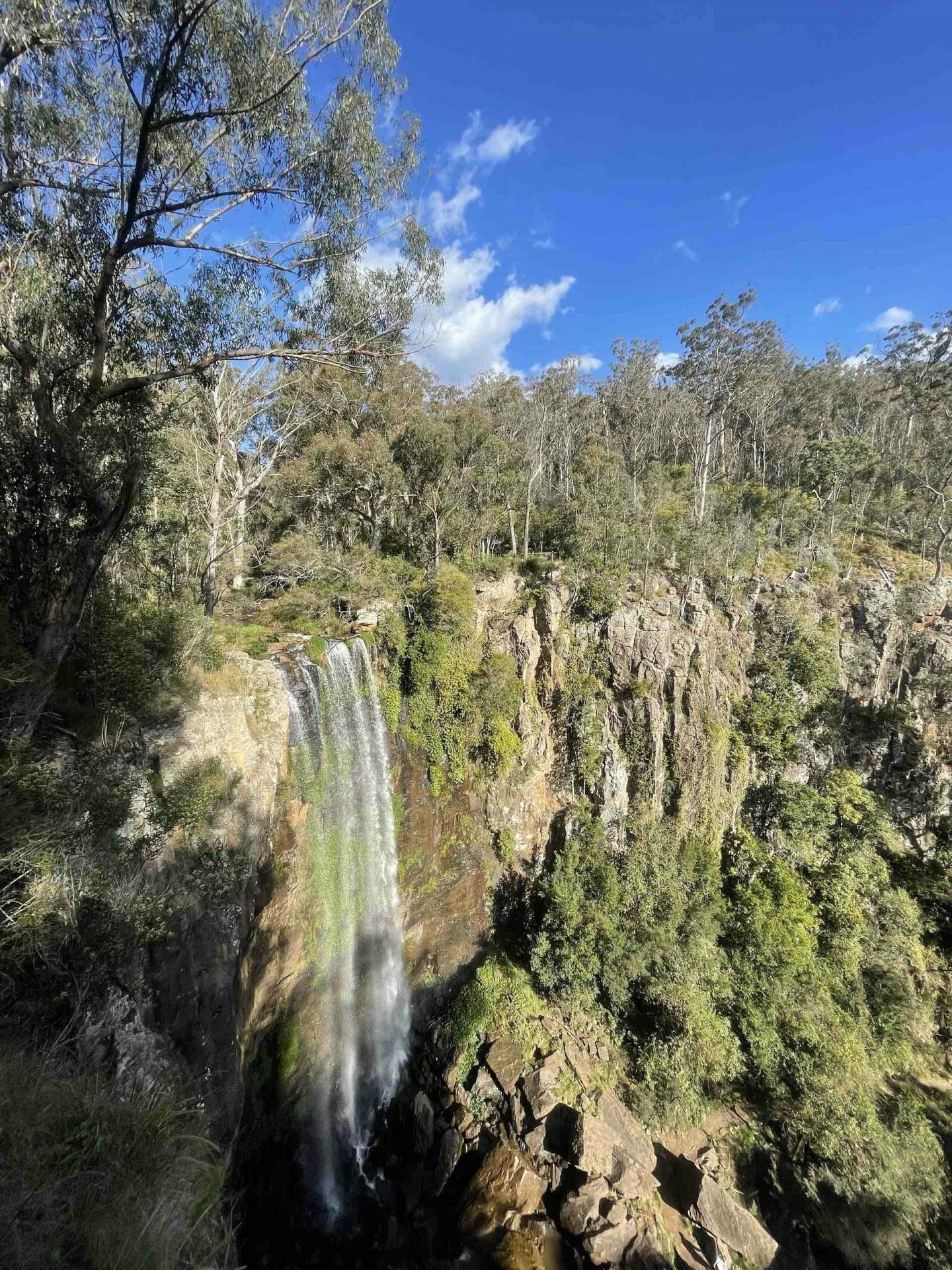 day trip to queen mary falls