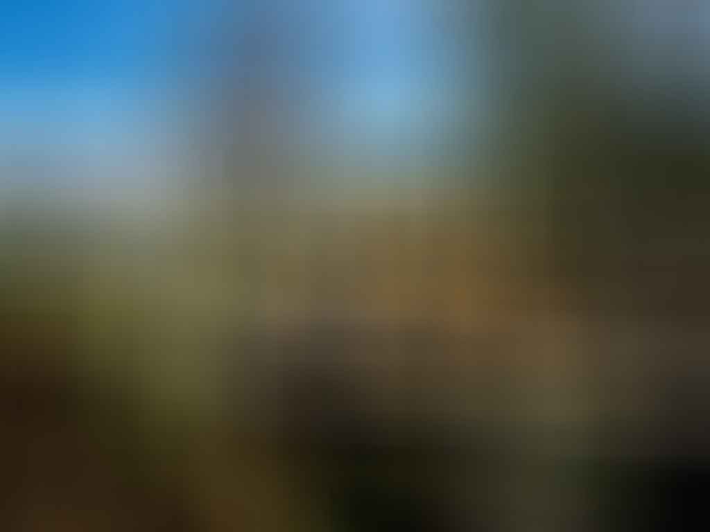 Hartley to Hill End – A Road Trip Through Rural NSW and Into History, Ruby Woodruff, Bald Hill Walking Track, Hill End, bridge, couple, hike