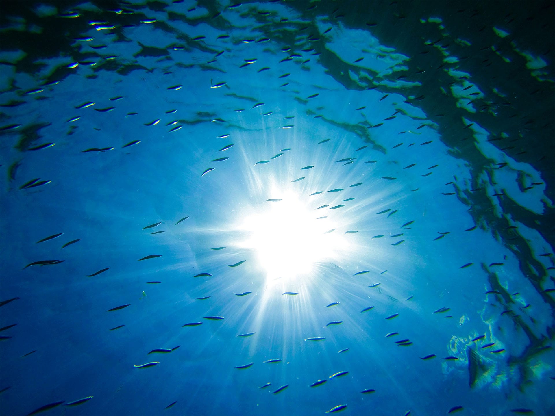 GoPro Hero 9 Black Review