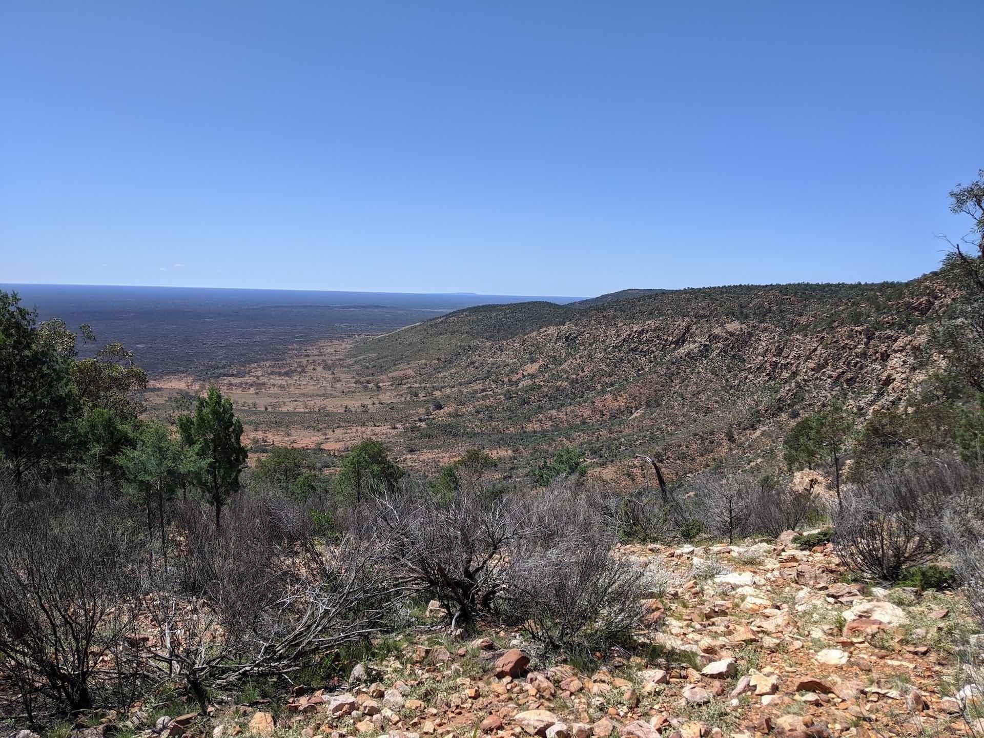 Mt Gunderbooka Juts Out of the NSW Outback, Amy Fairall, Gundabooka National Park, outback, mountain