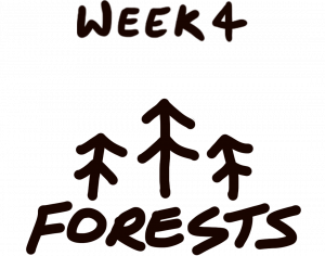 Week 4 - Forests