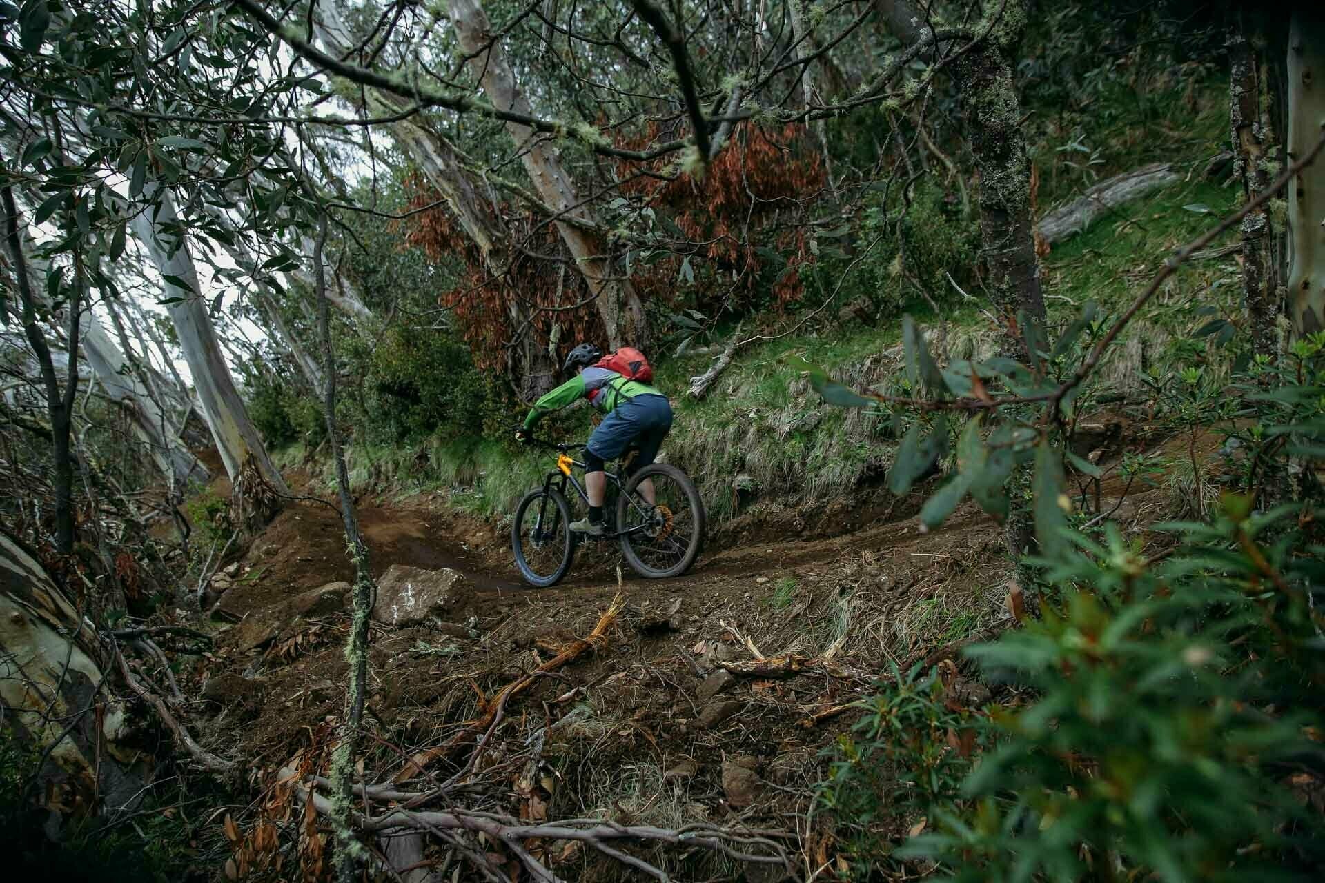 descending mountain biker, shot by Kale Munro, Mt Buller and Mt Stirling, Tourism North East, High Country, Victoria,