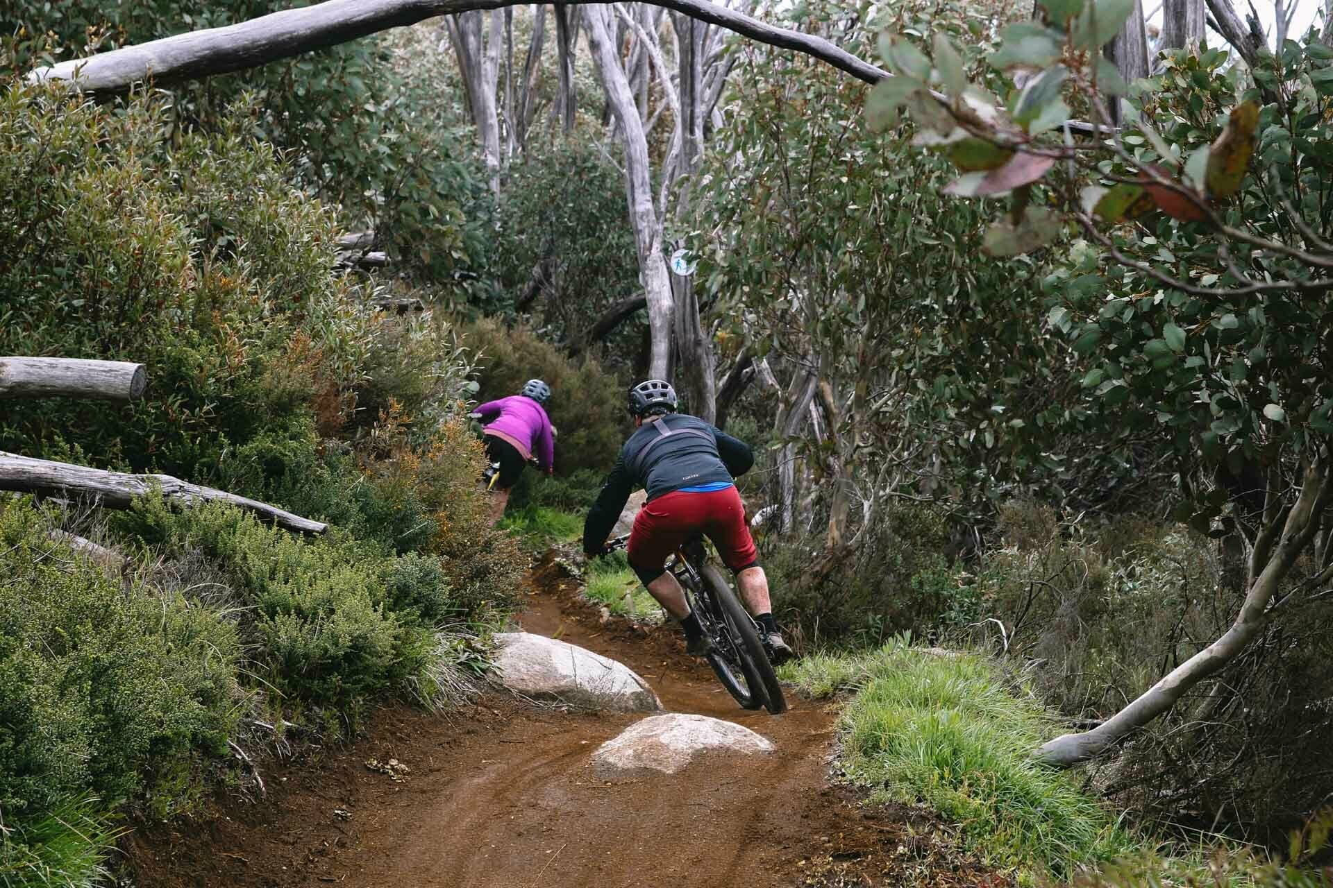 two riders descending, shot by Kale Munro, Tourism North East, Falls Creek, High Country, Victoria, mountain bike, trails,