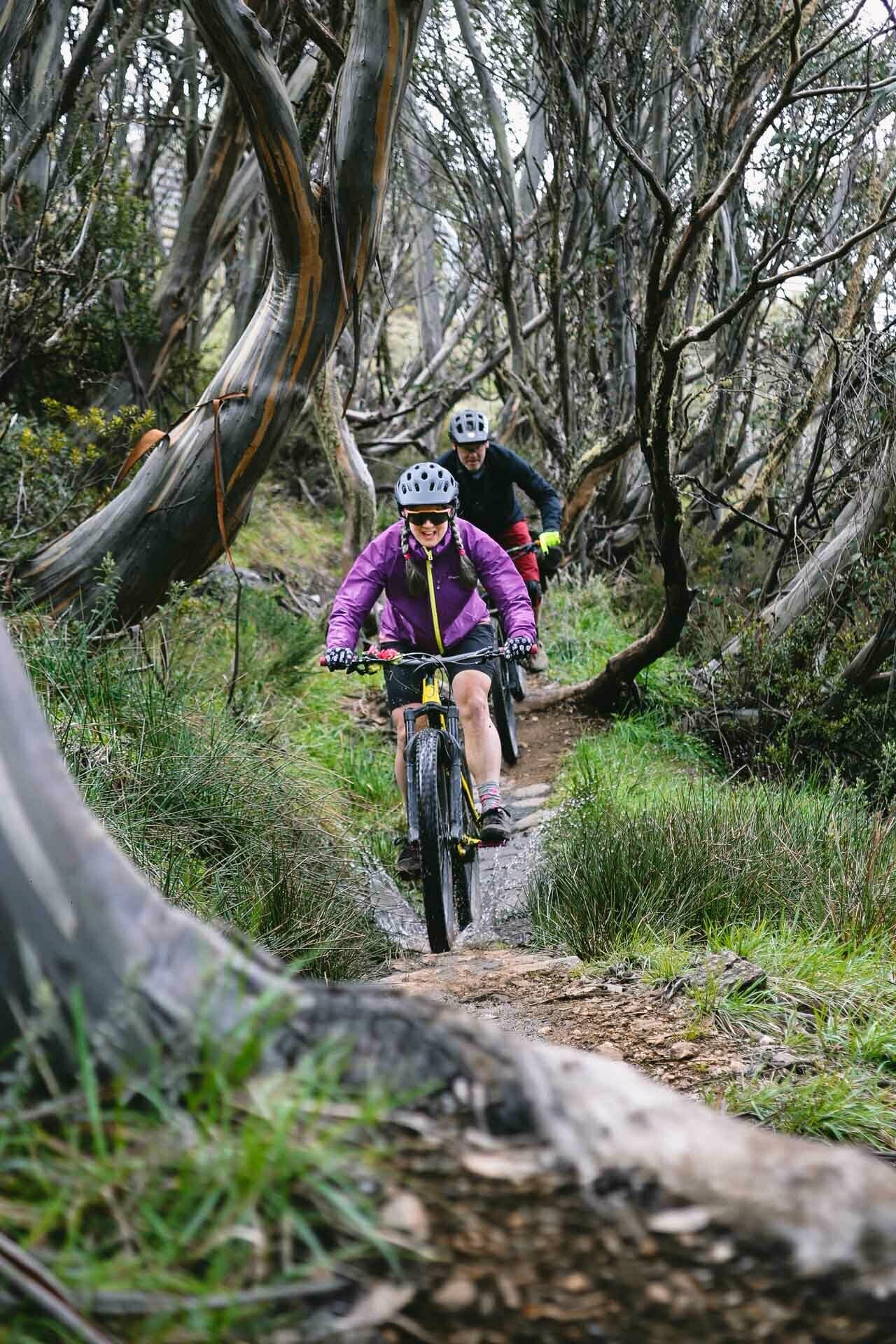two riders descending, shot by Kale Munro, Tourism North East, Falls Creek, High Country, Victoria, snow gums, mountain bike