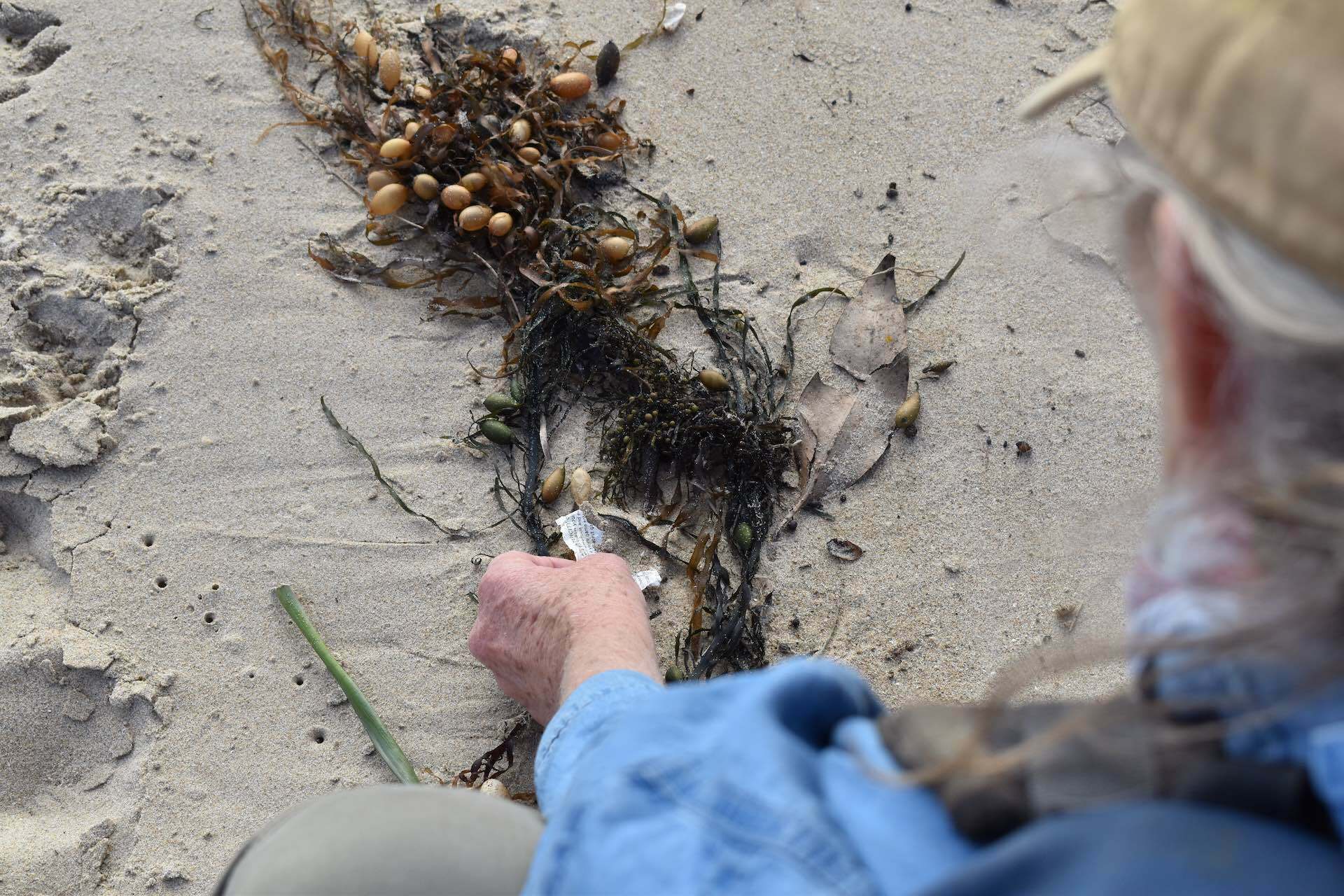 20 Hacks for Plastic Free Hiking (& Your Daily Life), Eva Davis-Boermans, icebreaker, beach, rubbish, leave no trace