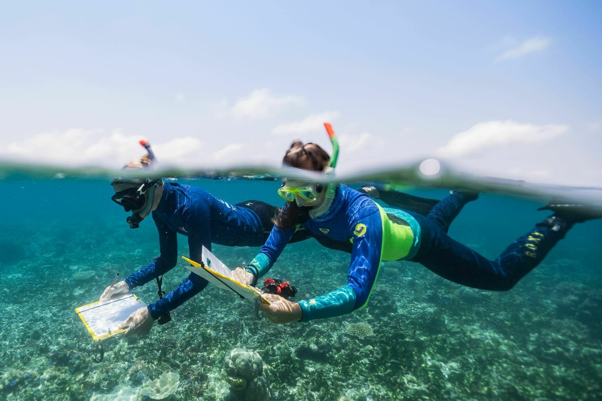 Reef Women – An all Female Week-Long Survey of the Great Barrier Reef, photo by Harriet Spark (Grumpy Turtle Creative), snorkel, survey, coral, reef, swim
