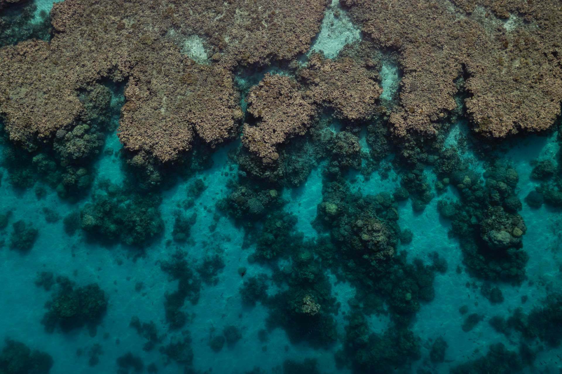 Reef Women – An all Female Week-Long Survey of the Great Barrier Reef, photo by Woody Spark (Grumpy Turtle Creative), drone shot, coral, reef, ocean