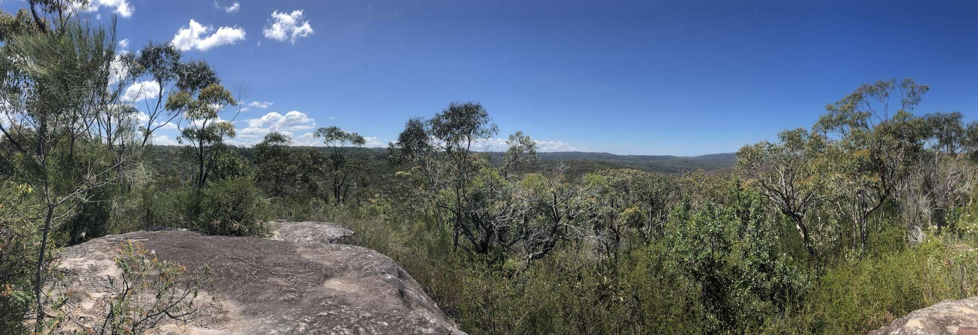 The Twin Peaks Loop Track, stephanie Lentz - Gadigal National Park, hiking