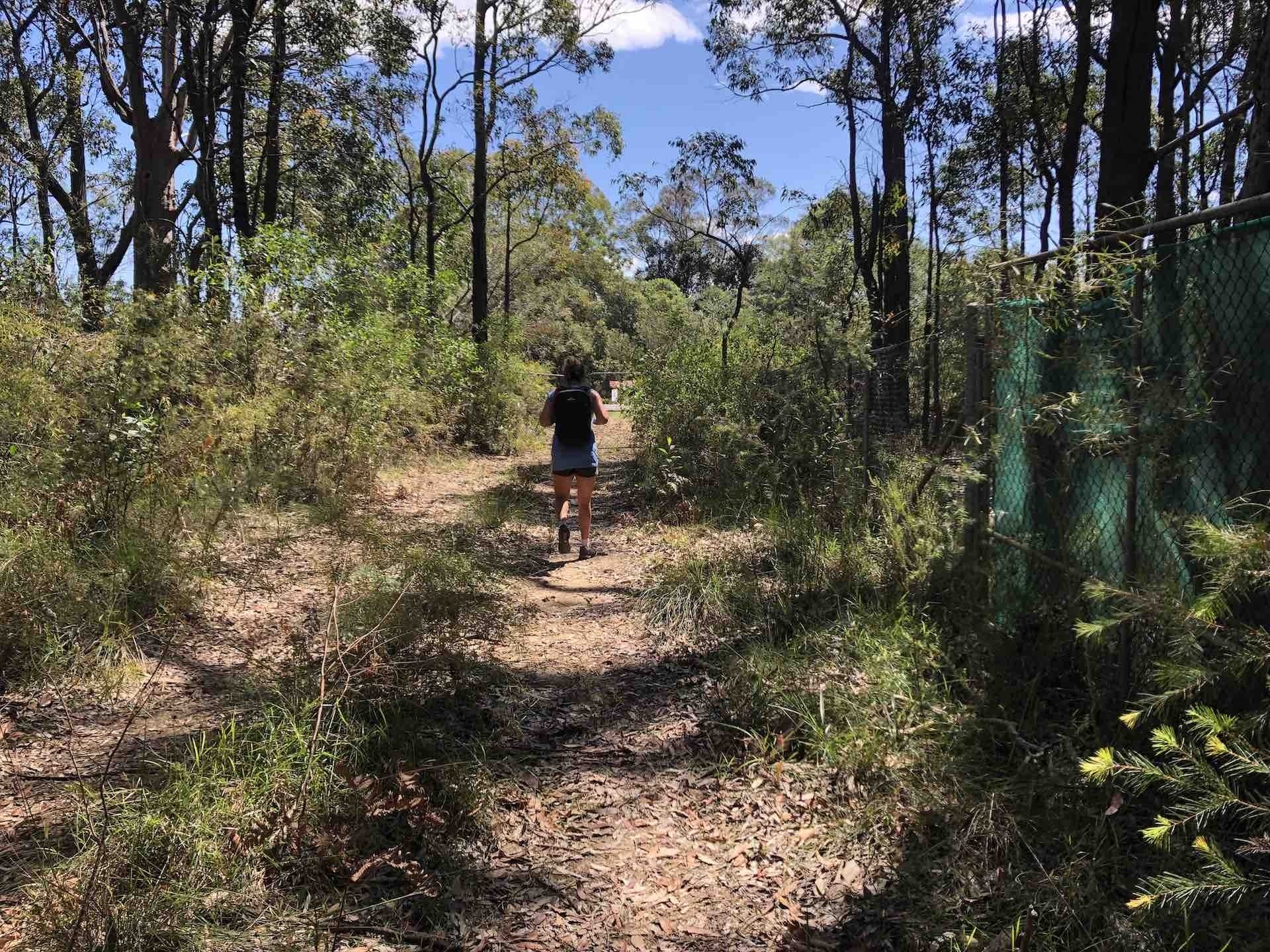The Twin Peaks Loop Track, stephanie Lentz - Gadigal National Park, hiking, firetrail