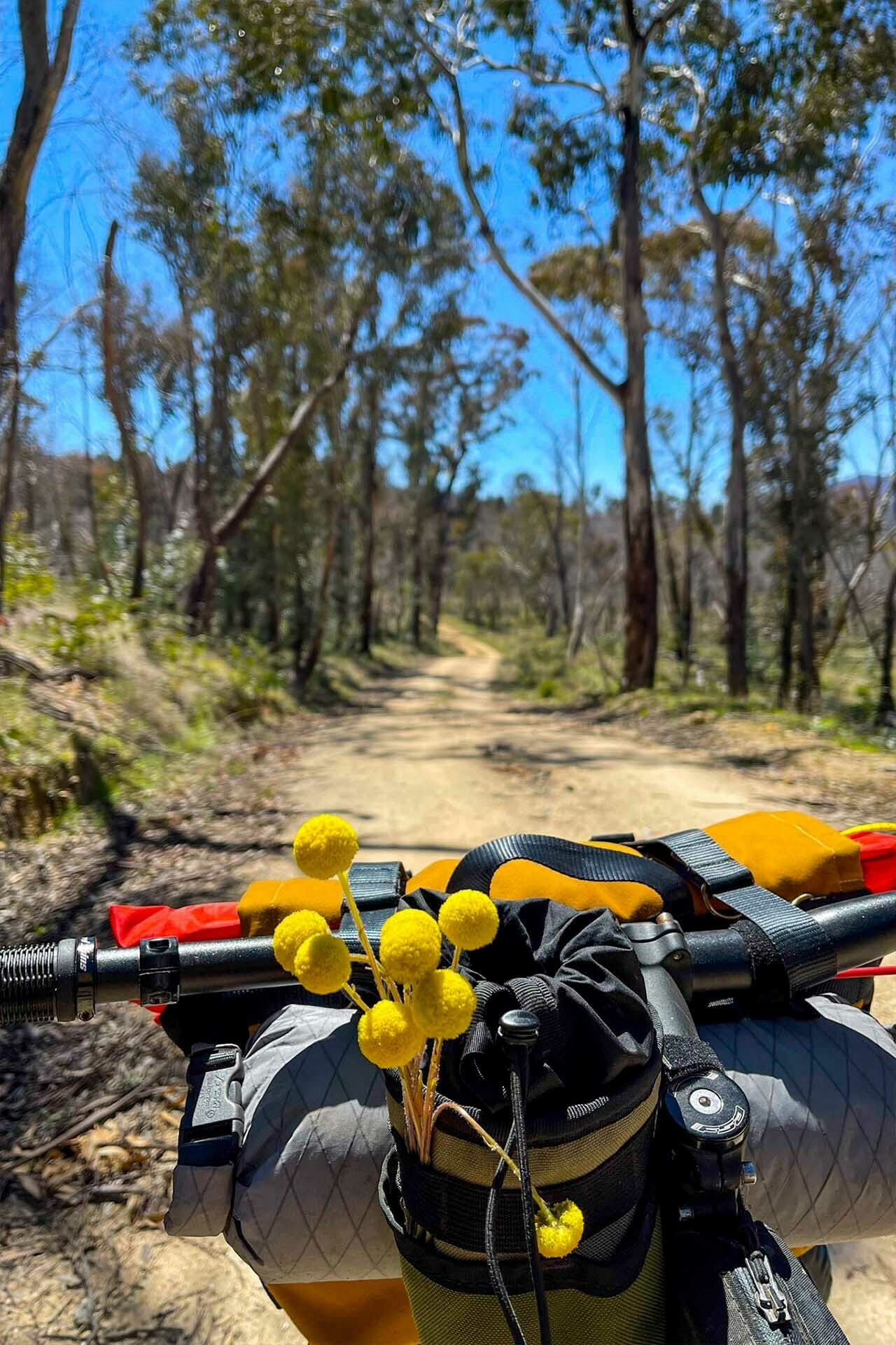 A Beginners Guide to Bikepacking Bags