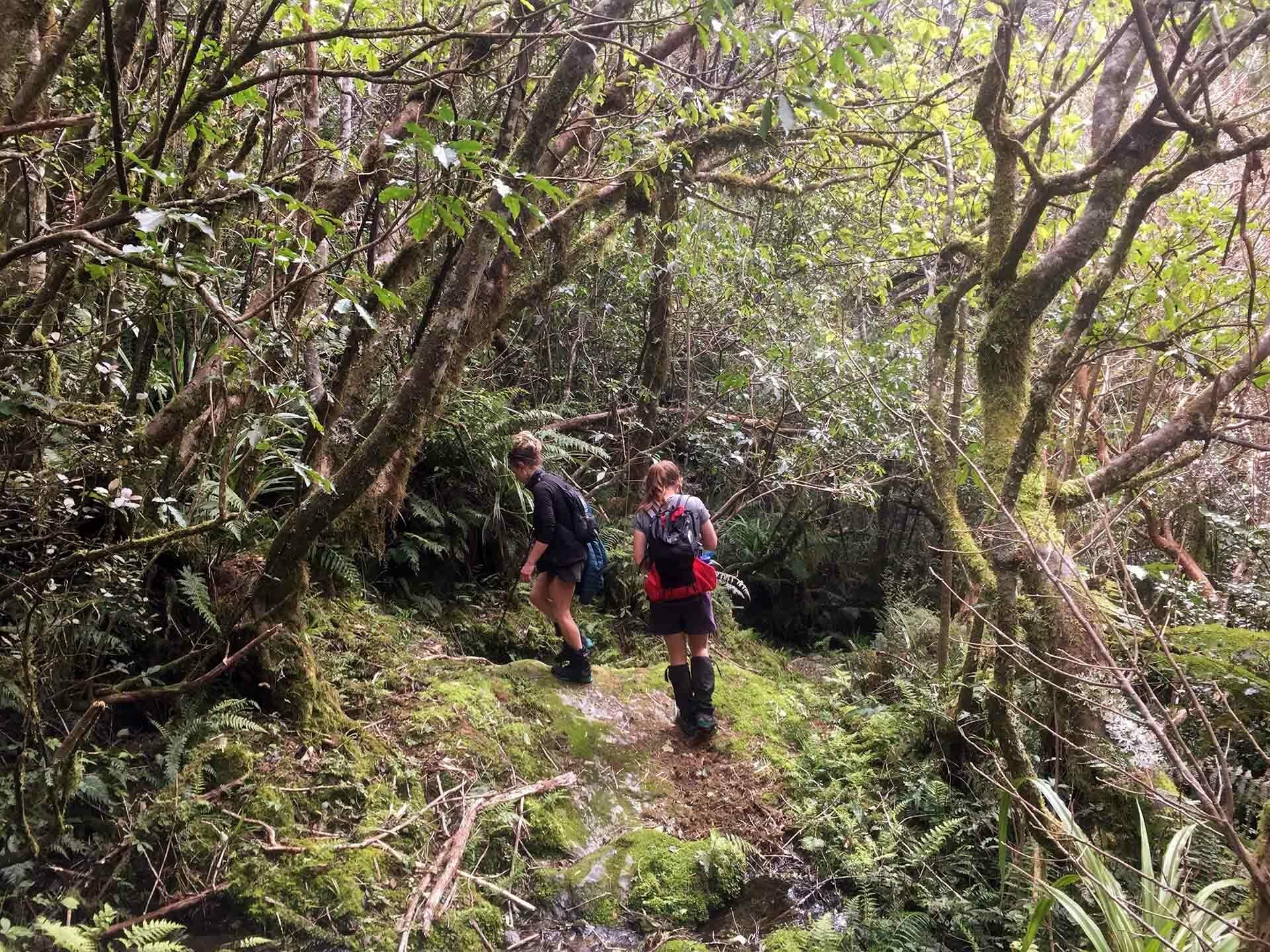 A Handmade Hiking Pack Built Specifically For You – How Would You Customise It?