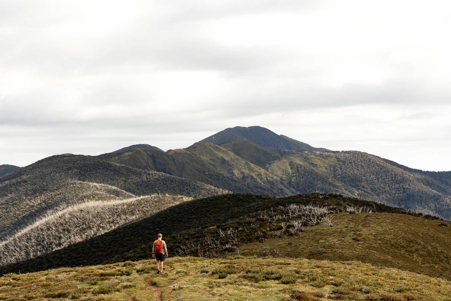 The Best Hikes in High Country Victoria, Tim Ashelford - Victorian Back Country, hike, mt Hotham, The razorback, mt Feathertop