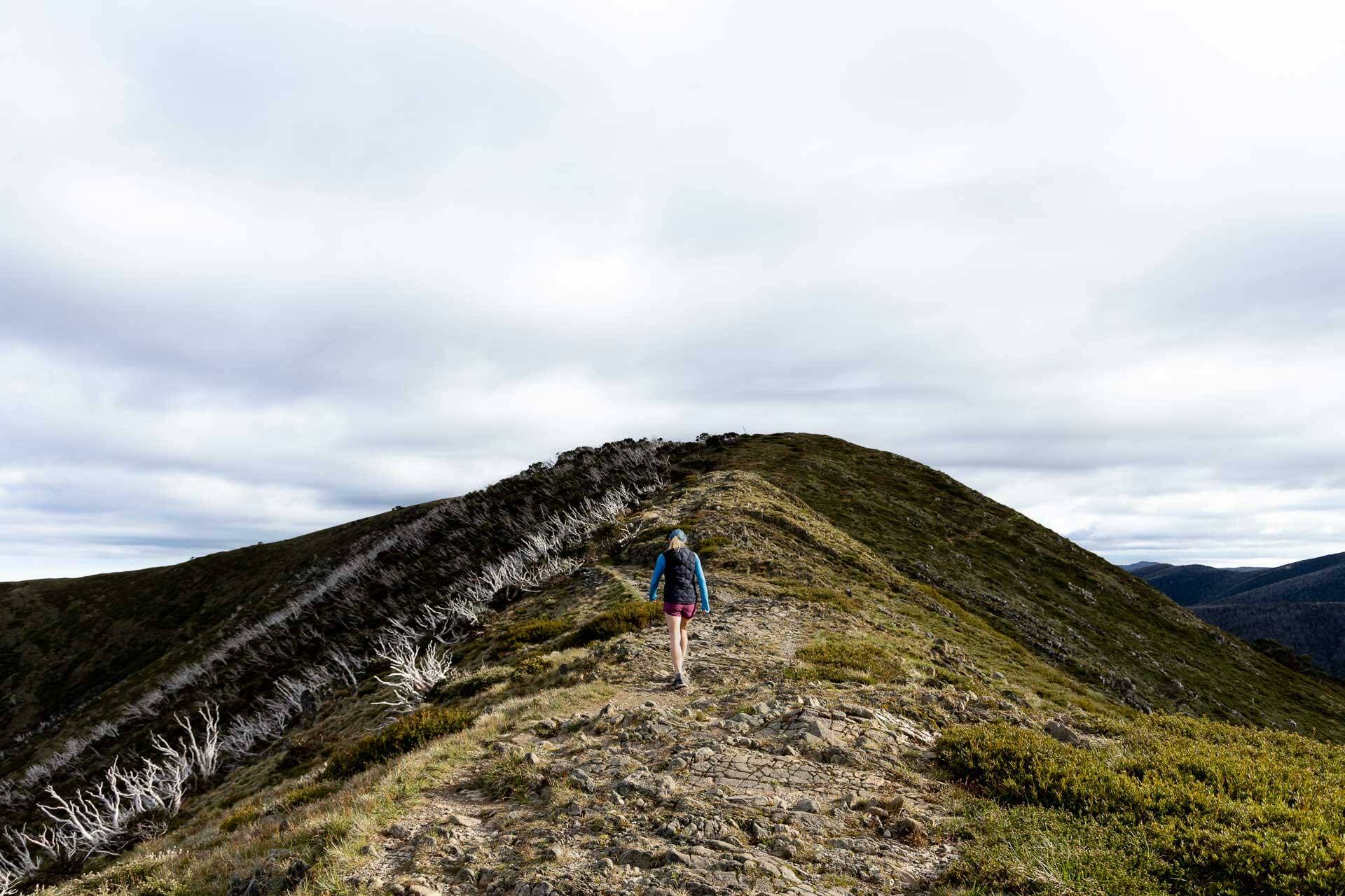 The Best Hikes in High Country Victoria, Tim Ashelford - Victorian Back Country, hike, mt Hotham, The razorback