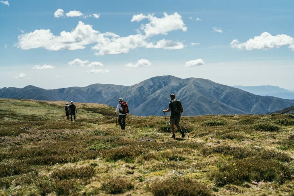 falls to hotham walk, courtesy of high country, fabiooliveira, Hiking Mt Hotham – High Country Walks You Have To Experience, High Country, Victoria, alpine