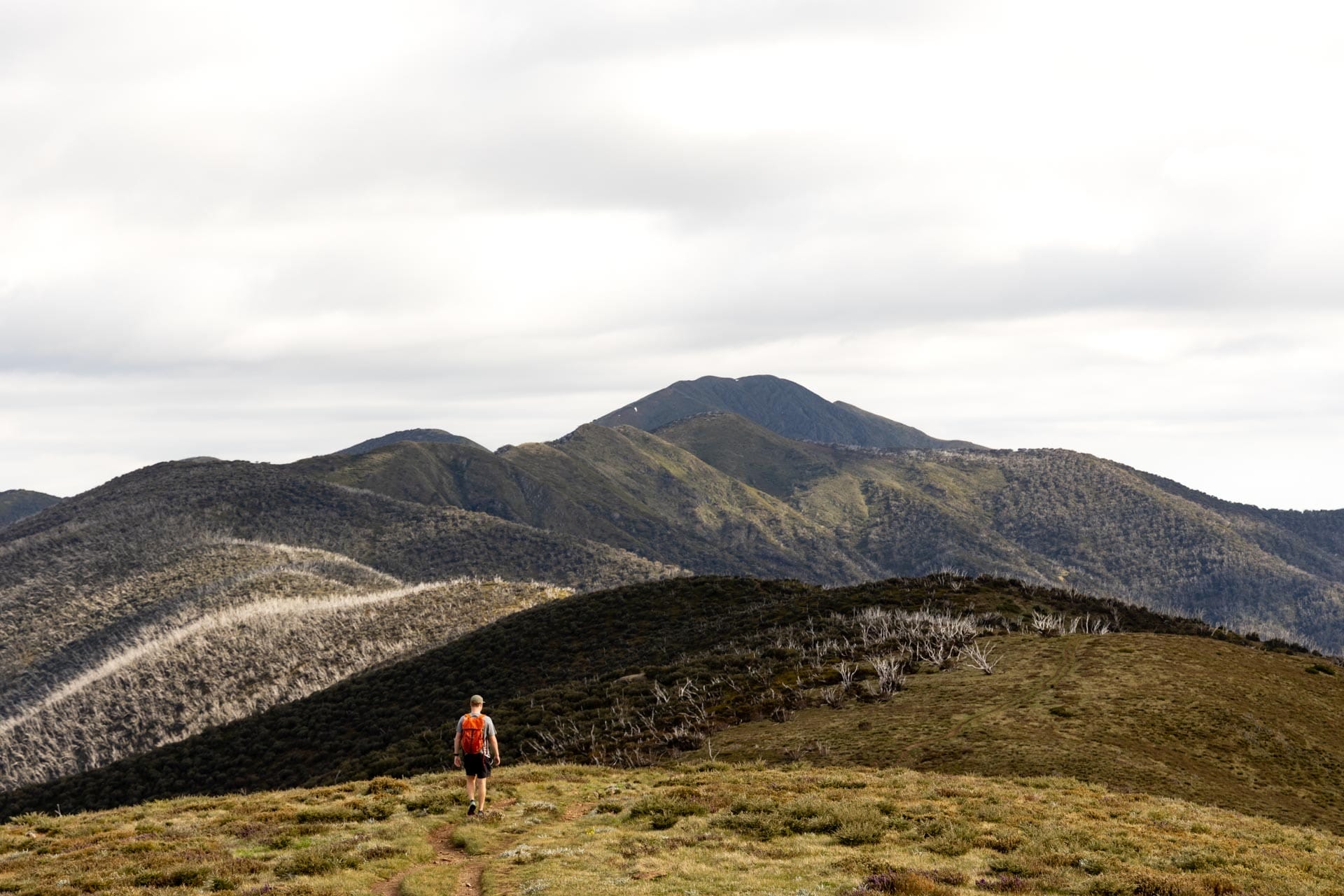 the razorback, tim ashelford, Hiking Mt Hotham – High Country Walks You Have To Experience, photo by Tim Ashelford, High Country, Victoria, alpine