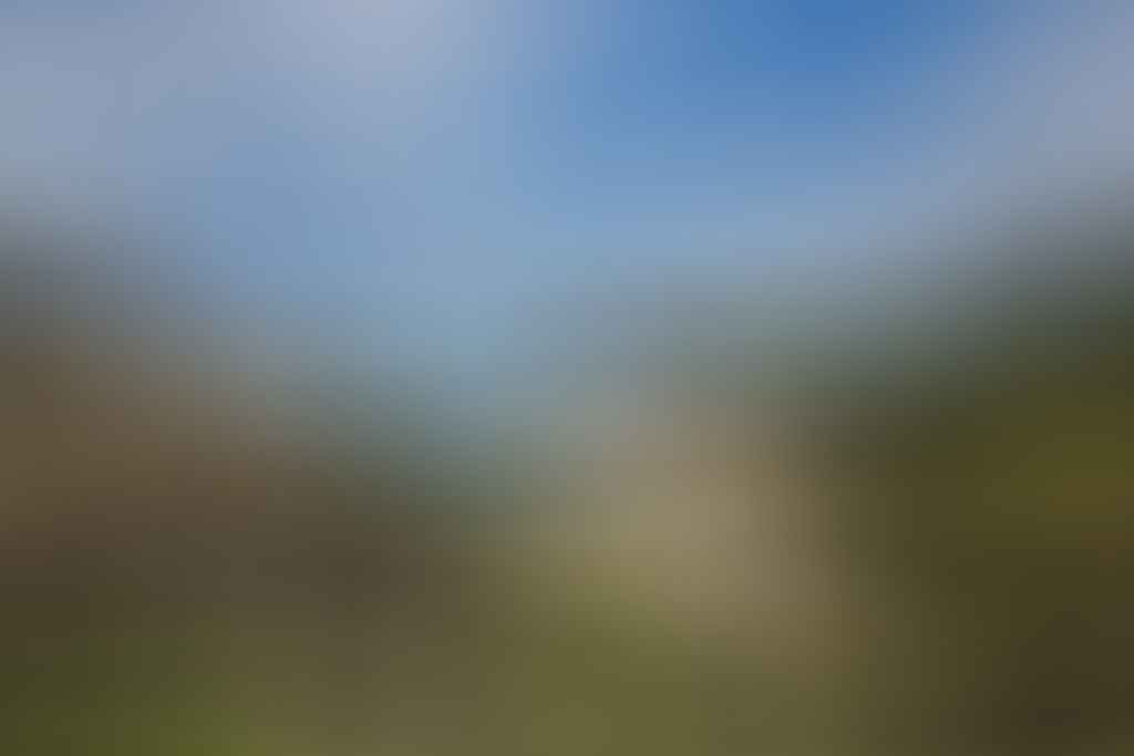 10 Things That Make Hiking in Australia Special (and a Bit of a Bastard)! Dan Piggott - Royal National Park