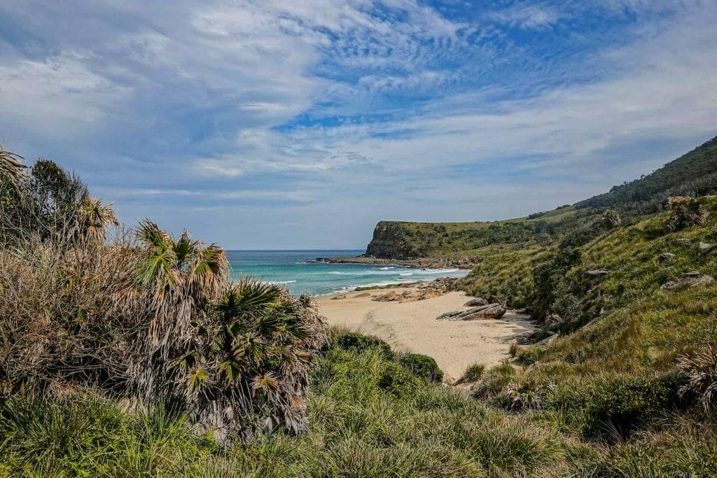 10 Things That Make Hiking in Australia Special (and a Bit of a Bastard)! Dan Piggott - Royal National Park