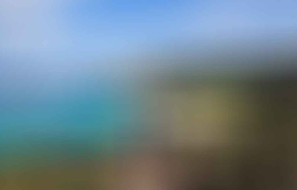 10 Things That Make Hiking in Australia Special (and a Bit of a Bastard)! Dan Piggott - Royal National Park