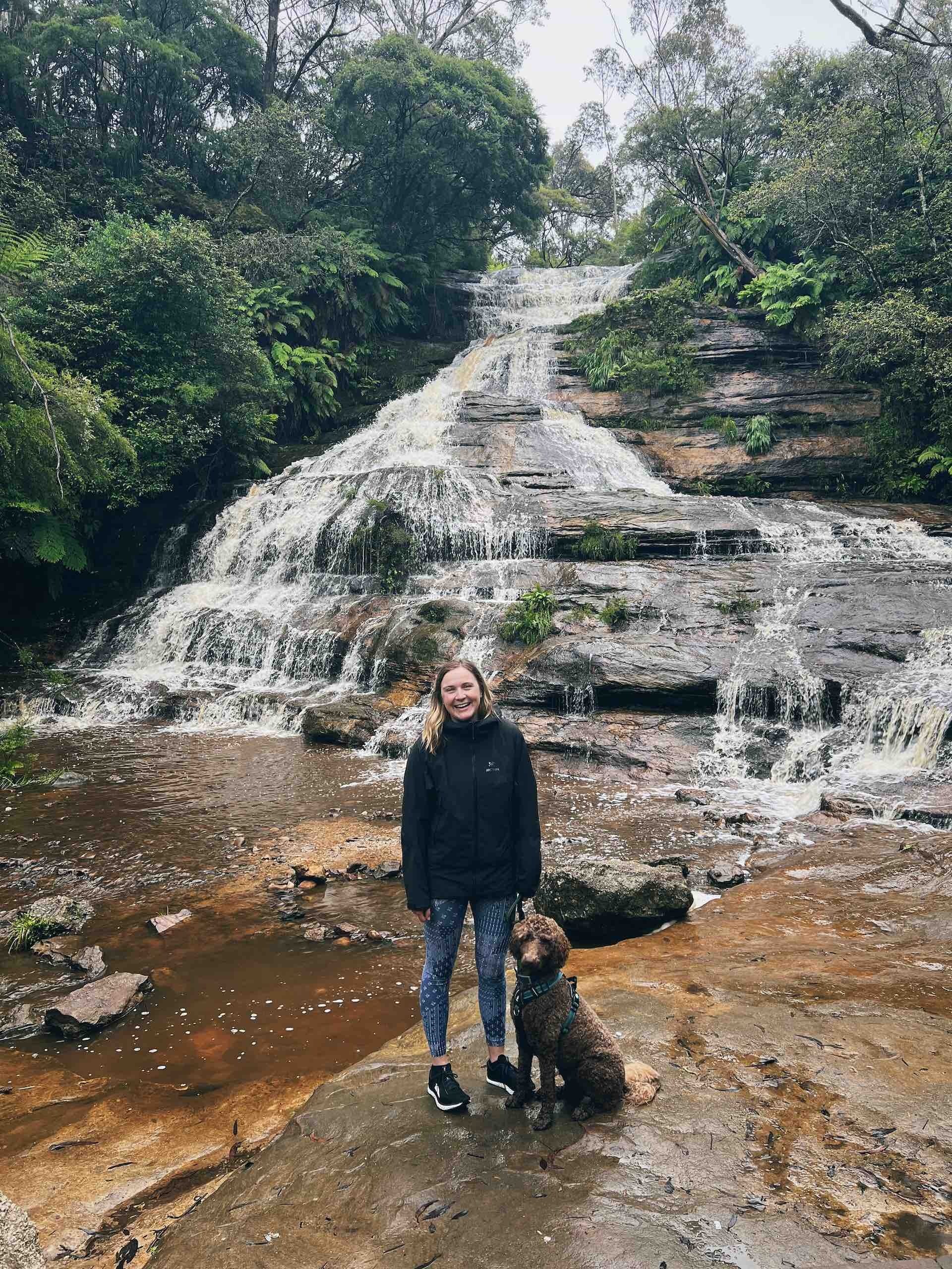 Dog Friendly Walks in the Blue Mountains 2024 We Are Explorers