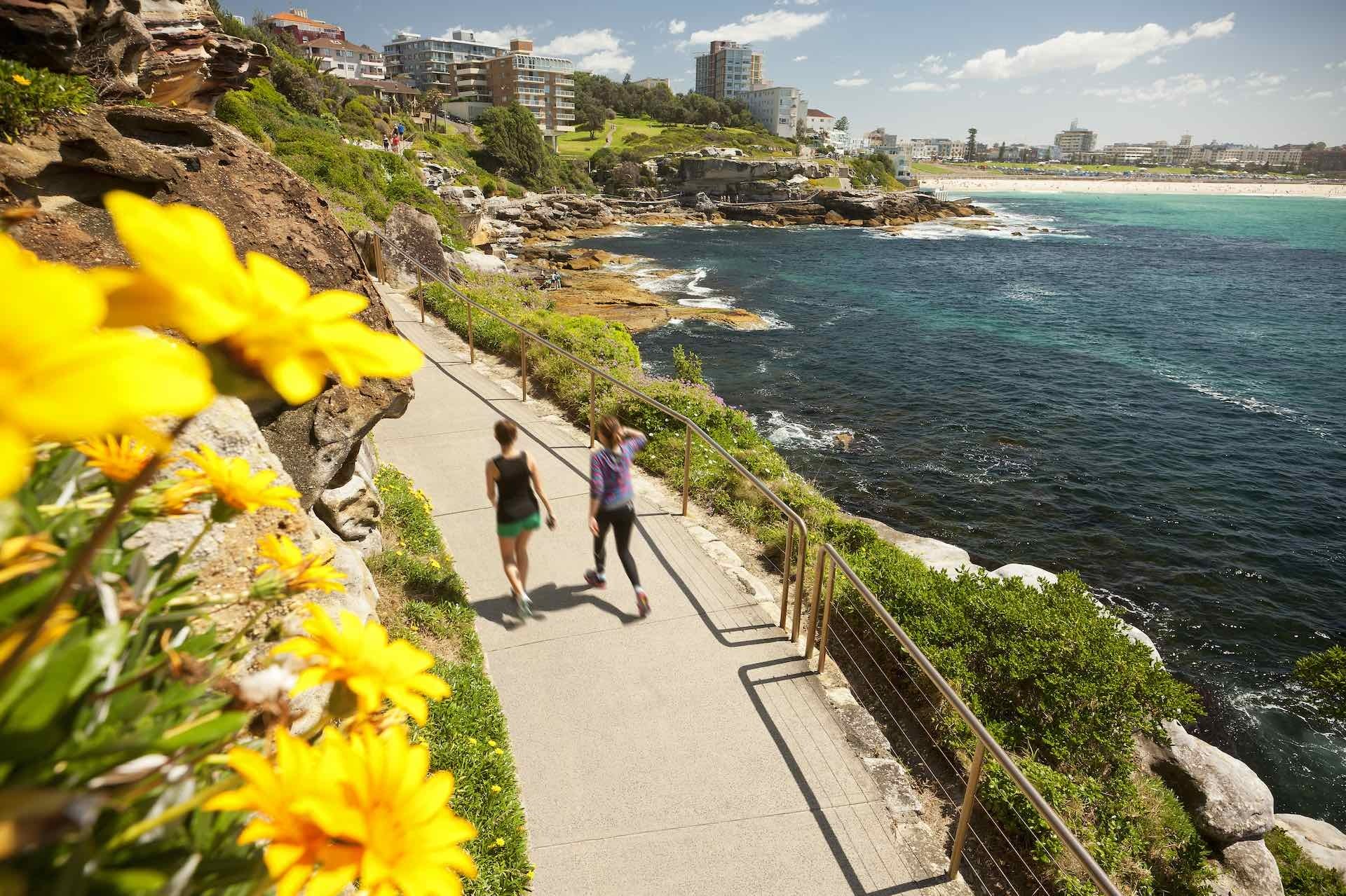 Coogee to Bondi Coastal Walk