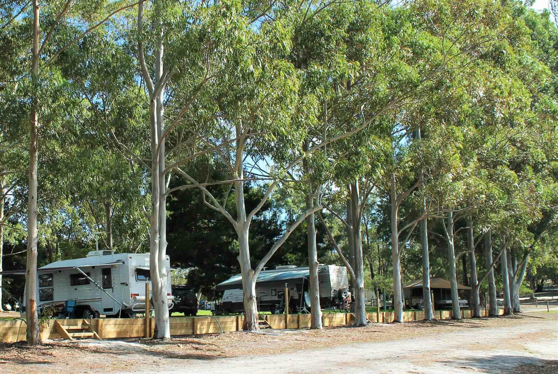 Great Northern, Big Valley Campsite – Margaret River WA, caravans, camping, gum trees