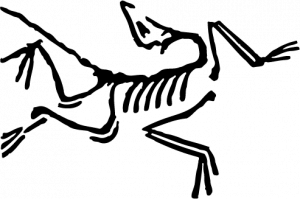 arc'teryx bird logo no text