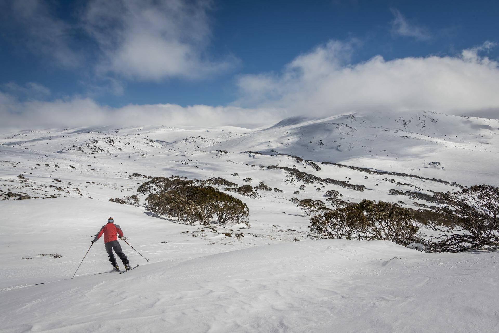 Skip The Line This Snow Season & Buy Your All Parks Pass Online!, phtoo supplied by NPWS, skiier, Perisher, snow, skiing