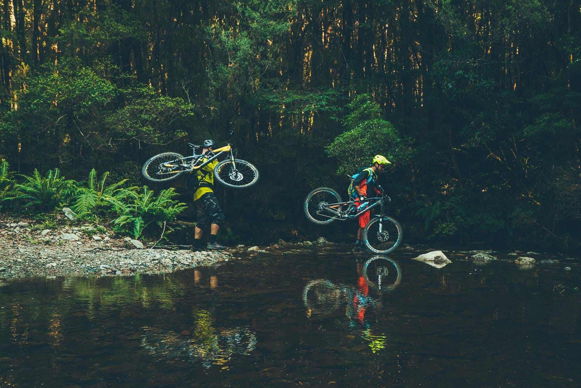 Sterling Valley Track, Your Guide to Tasmania’s Newest MTB Trails, flow MTB, tourism tasmania
