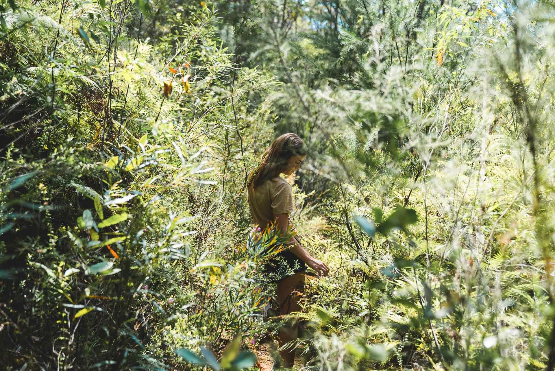 HeathcoateNP_JonathanTan_@thetantrap, underrated national parks in nsw