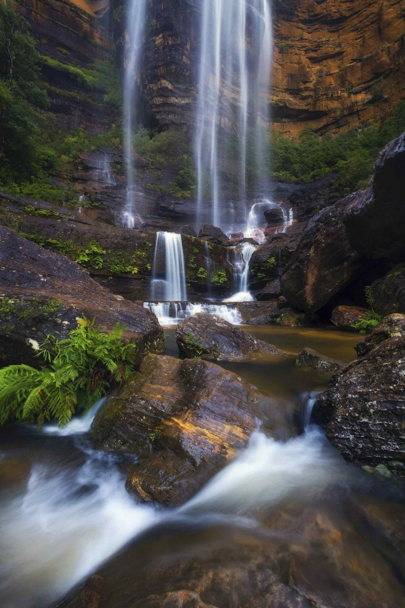 Wentworth Falls, Blue Mountains, DNSW