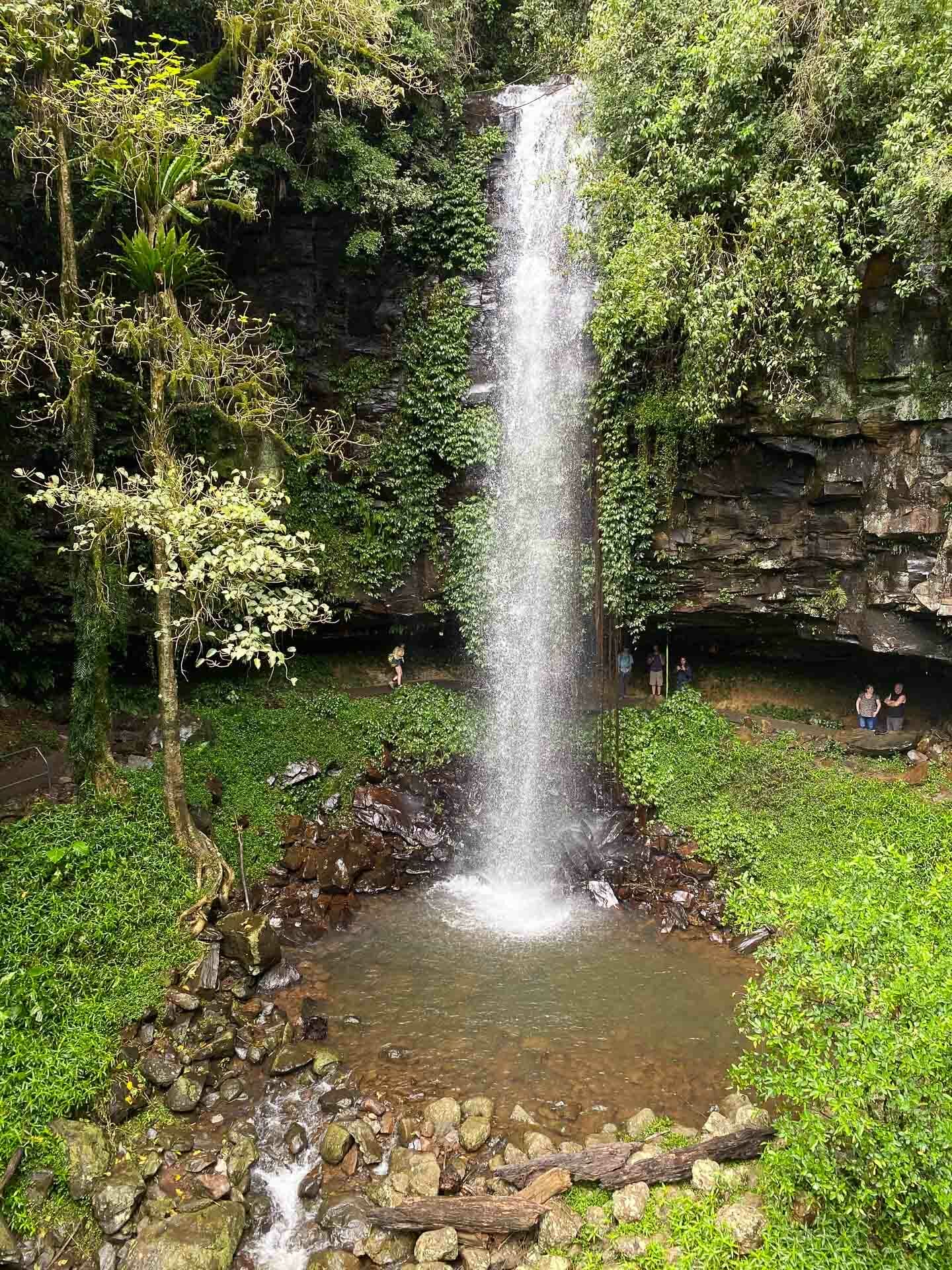 Crystal Shower Falls, Tim Ashelford, Dorrigo national park, nsw