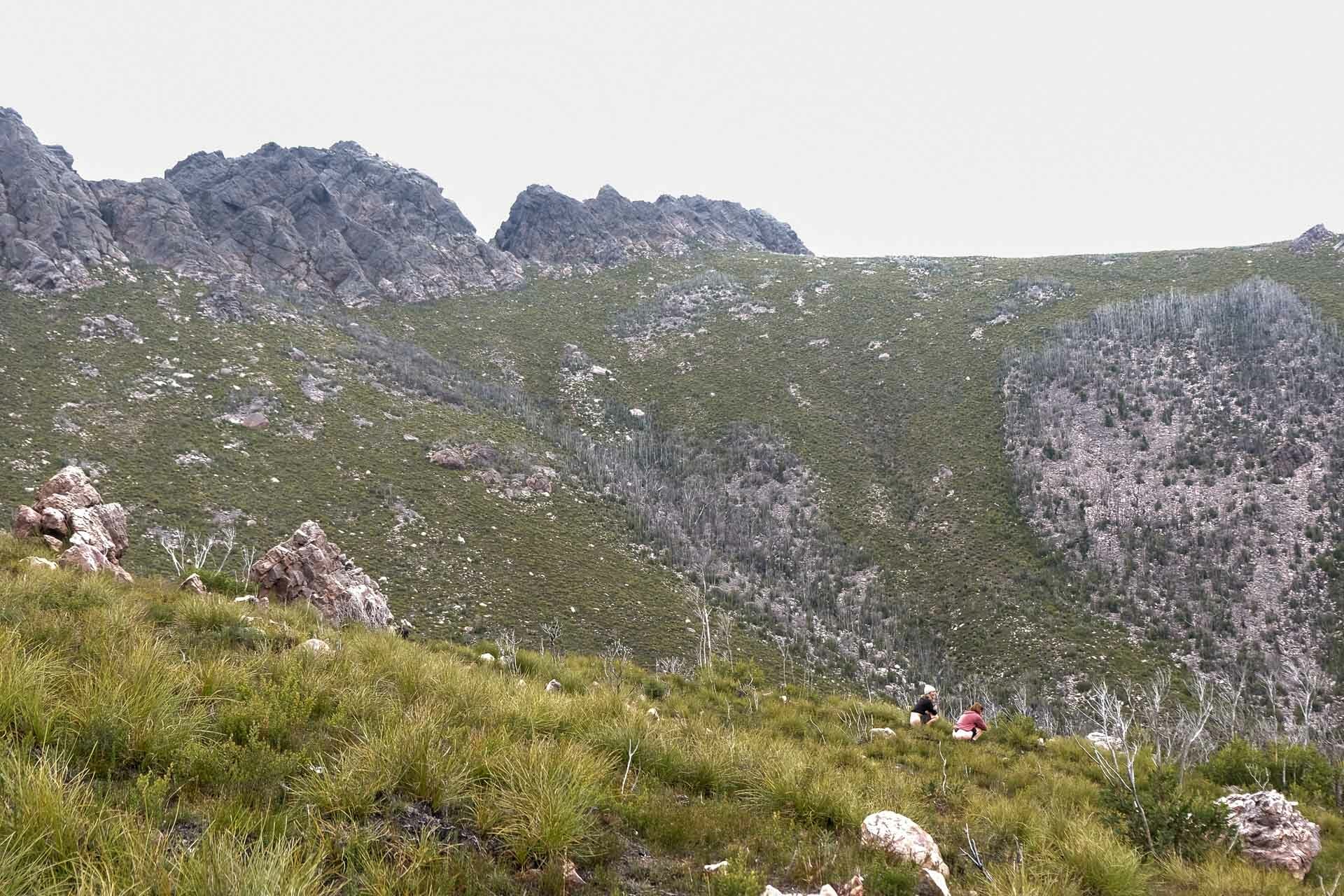 Friends that pack it out, Long Live the Poo Tube! – Why It Might Be Time We Start Packing Out All of Our Turds, tim ashelford that pack it out