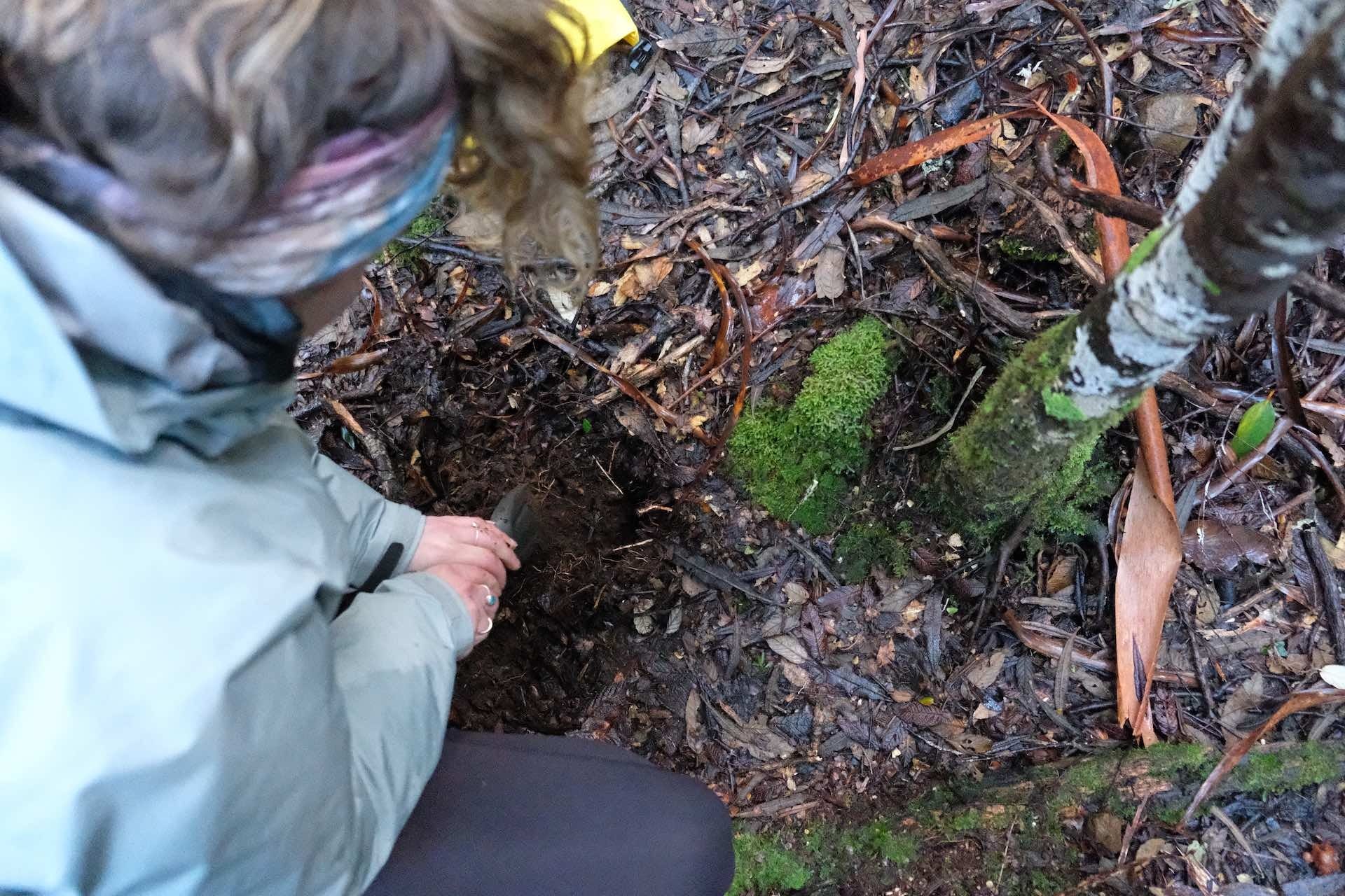 Long Live the Poo Tube! – Why It Might Be Time We Start Packing Out All of Our Turds, tim ashelford