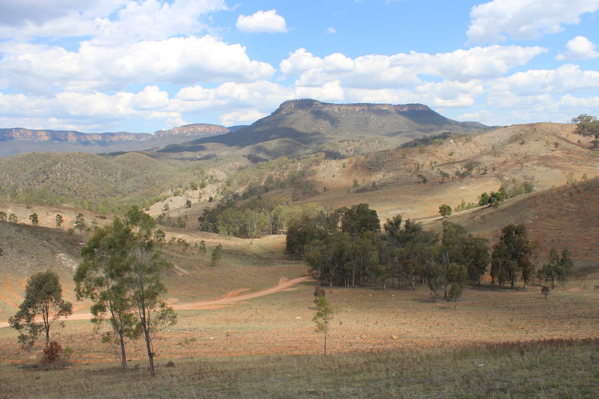 Hiking With My Family (And Learning to Love NSW)