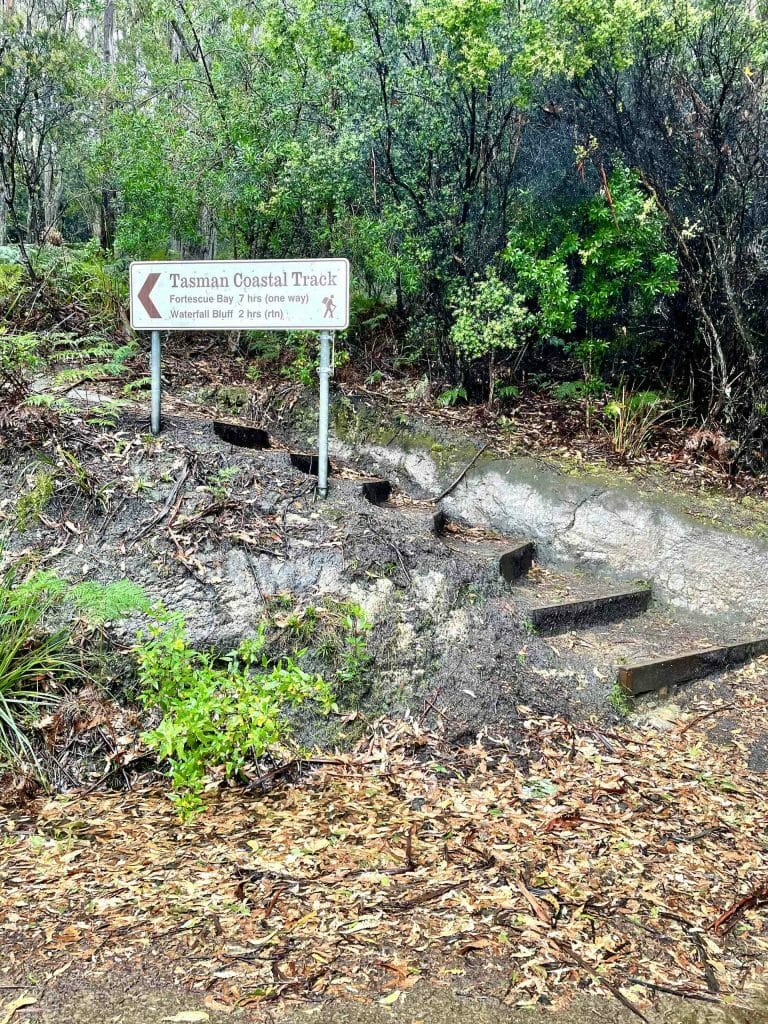 the Free Capes – A Self-sufficient Guide to Camping The Three Capes Track, Emma Abberton,