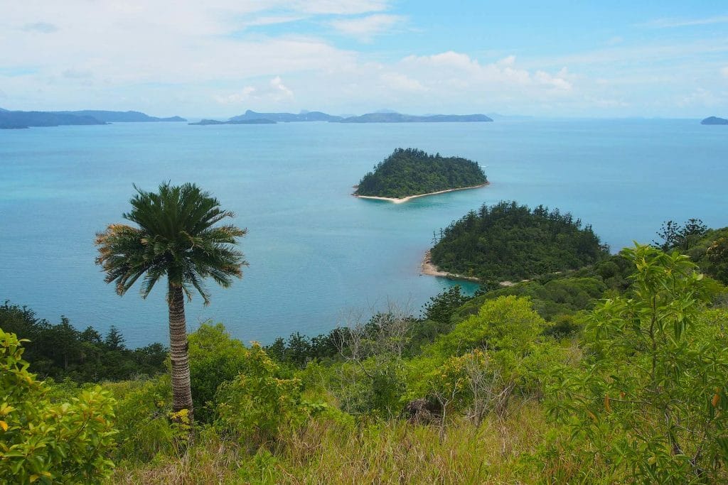 South Molle Island is Where Deserted Island Fantasies Come to Life, Taylor del ponte