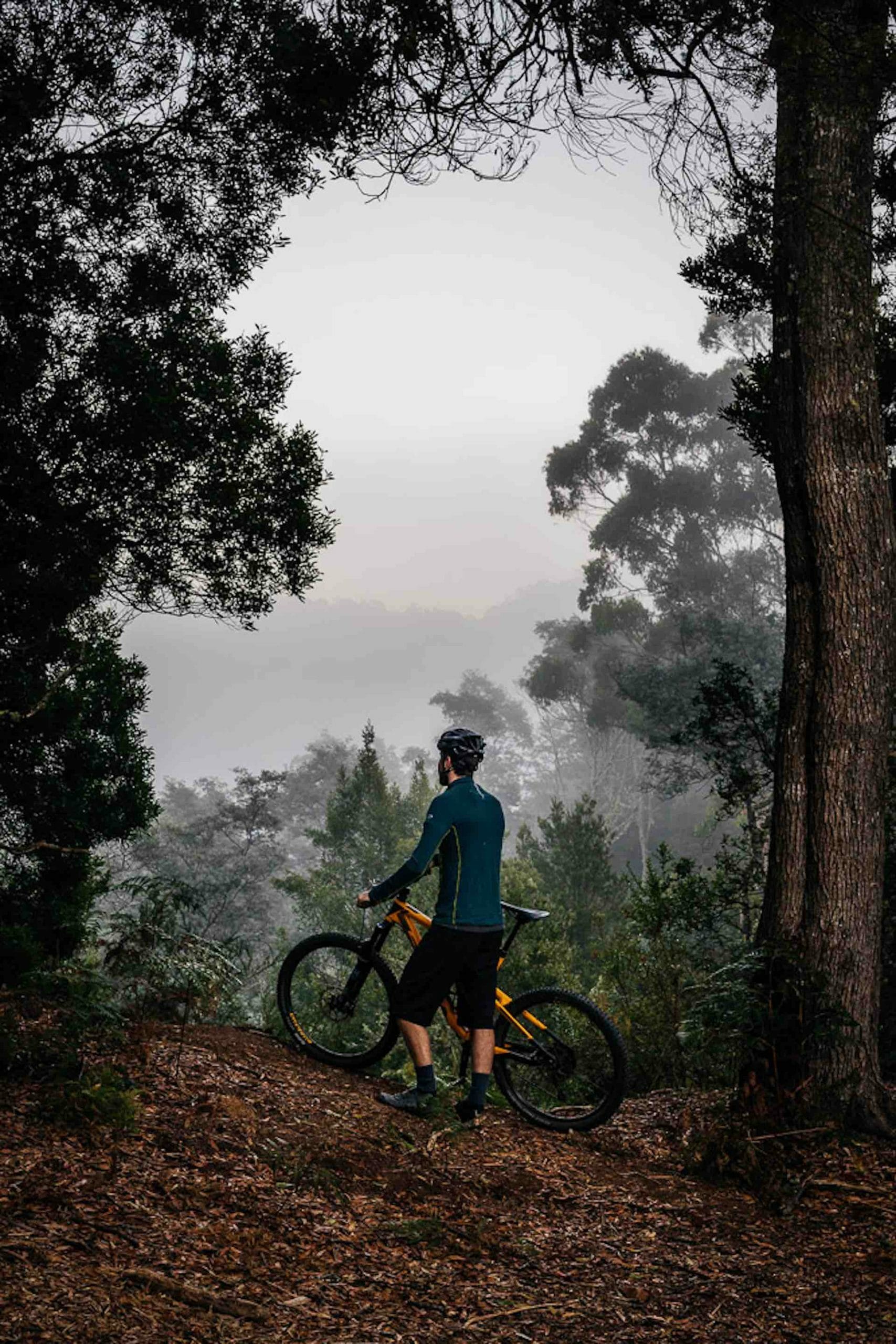 Finding Flow on The Blue Derby Pods Mountain Bike Trails, Ness Vanderburgh, bike, man, trail