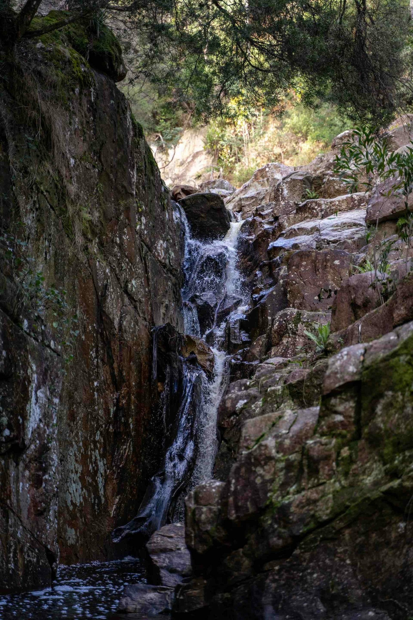 Finding Flow on The Blue Derby Pods Mountain Bike Trails, Scott Mattern, waterfall, rainforest