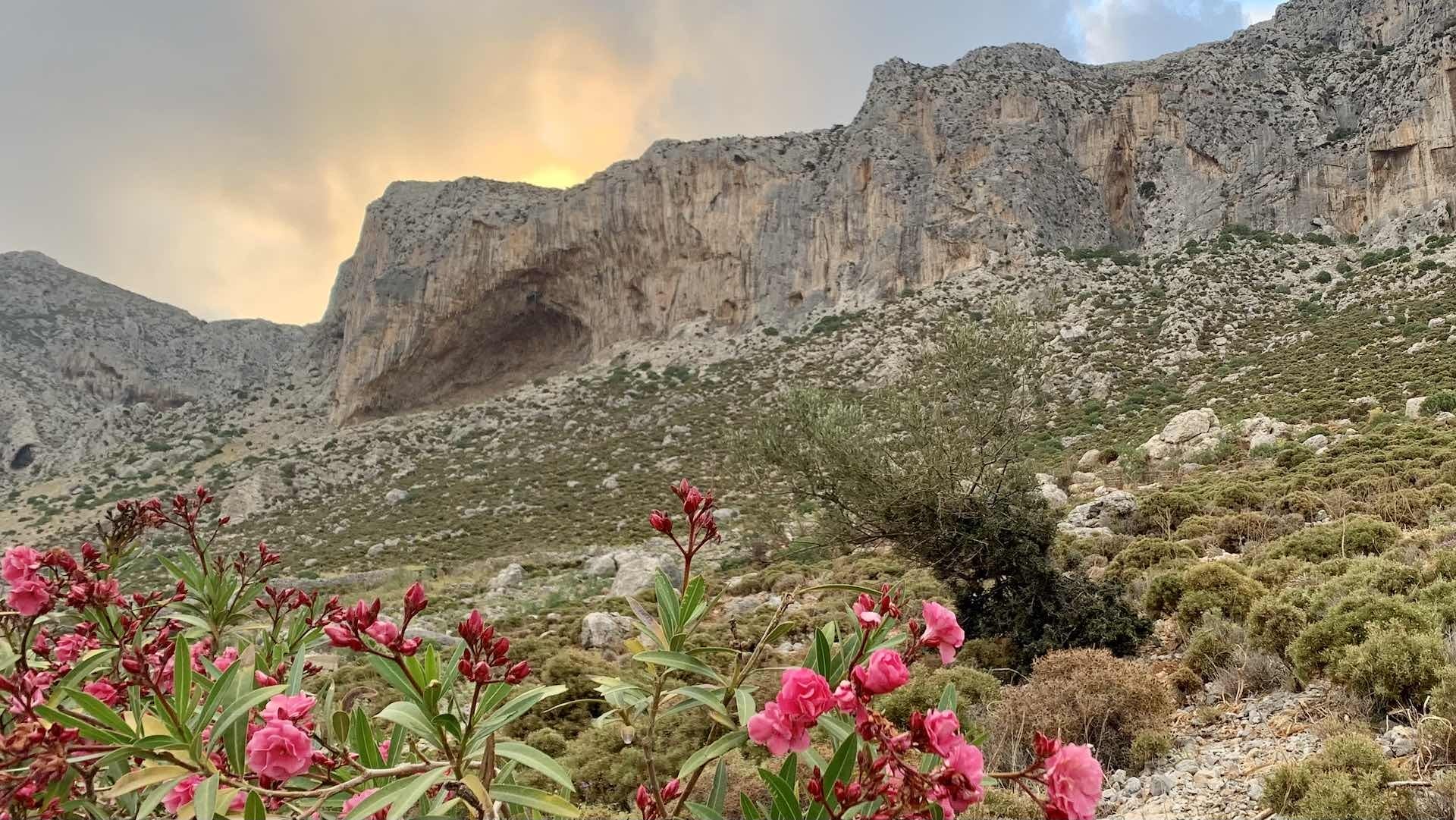 Kalymnos – A Climbing Haven in the Greek Isles, Wendy Bruere, greece, island, flowers, rocks