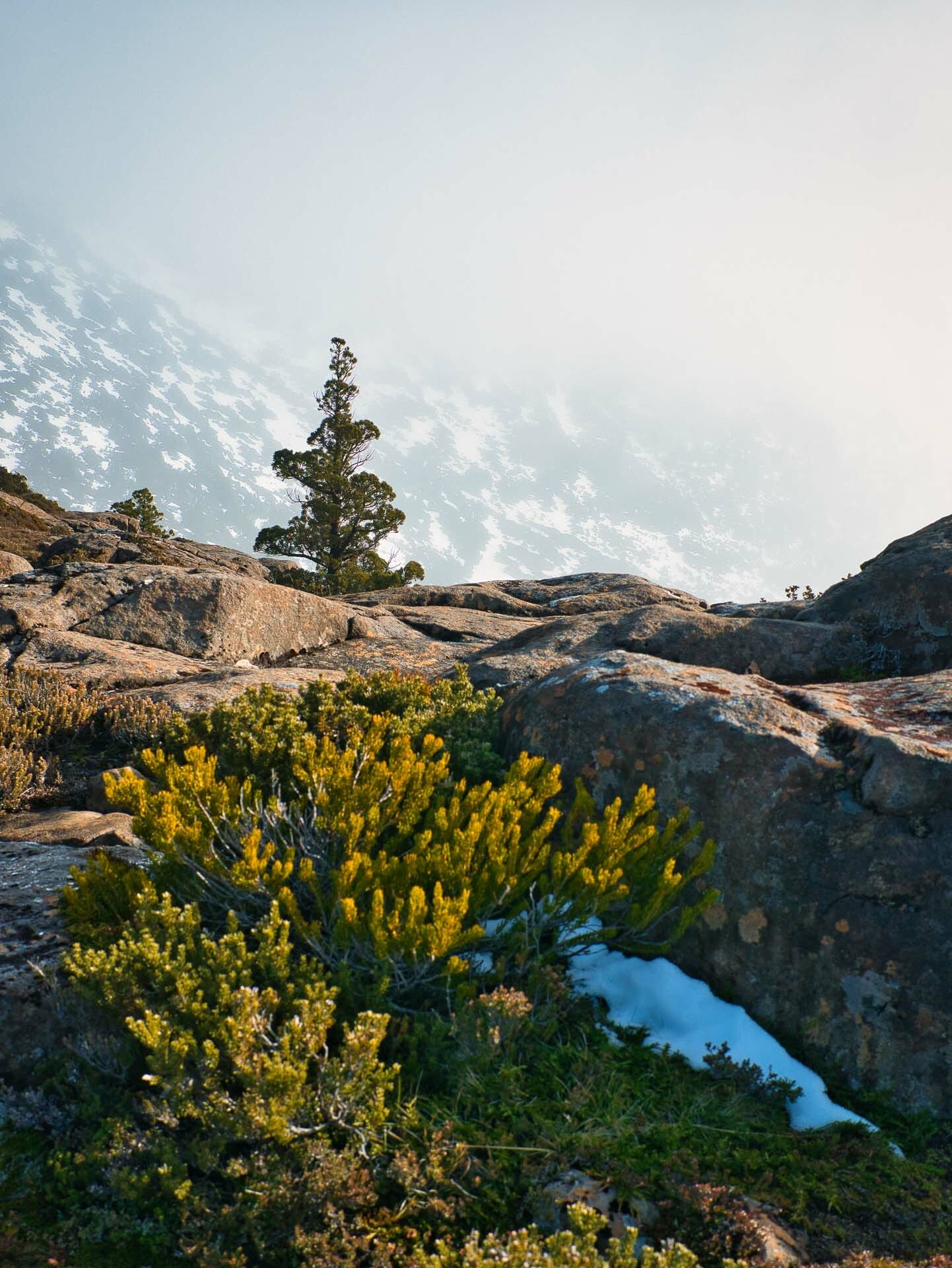 Embracing Snowy Mount Field National Park (And Making it Home For Dinner), Ben Well, tarn shelf, rodway range, tasmania, snow, mist, fog